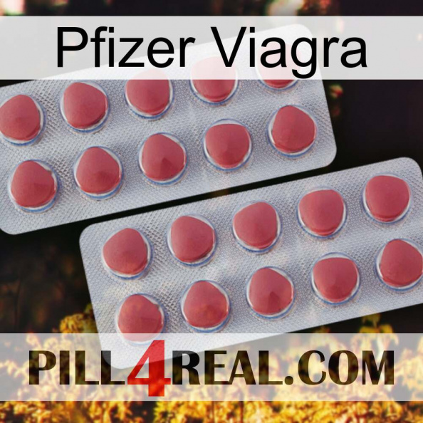Pfizer Viagra 19